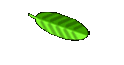 Deel vier 