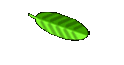 Deel vijf 
