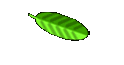 Deel zes 